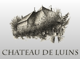 Château de Luins